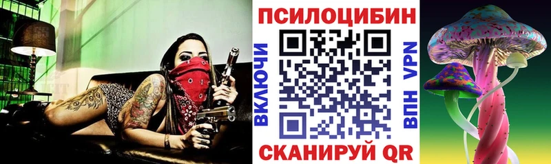 что такое   Избербаш  Галлюциногенные грибы MAGIC MUSHROOMS 