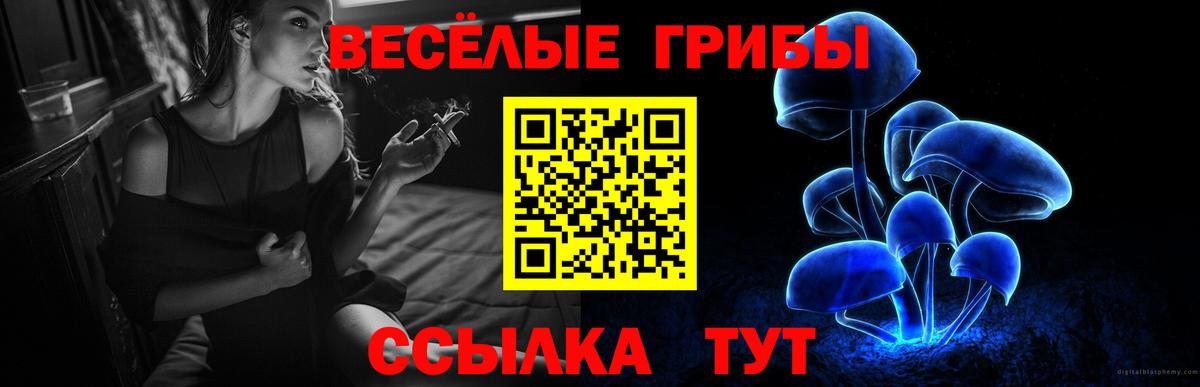Псилоцибиновые грибы Magic Shrooms  Вход с VPN  Избербаш 